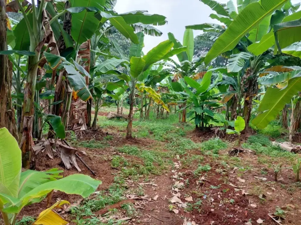 Kavling Villa Bintaro luas dan murah dalam Cluster