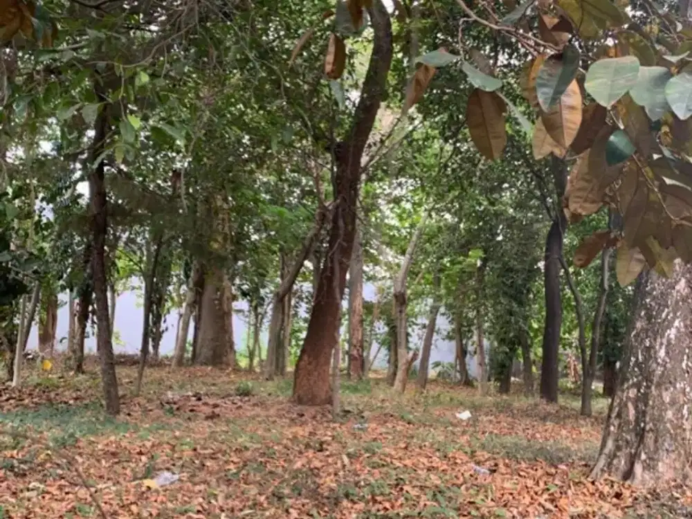 Kavling datar siap bangun strategis di Pondok Indah Jakarta Selatan