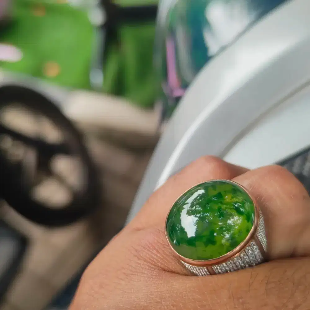cincin lumut kumbang jati bakan bacan