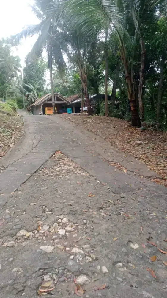 Tanah termurah di Panjatan