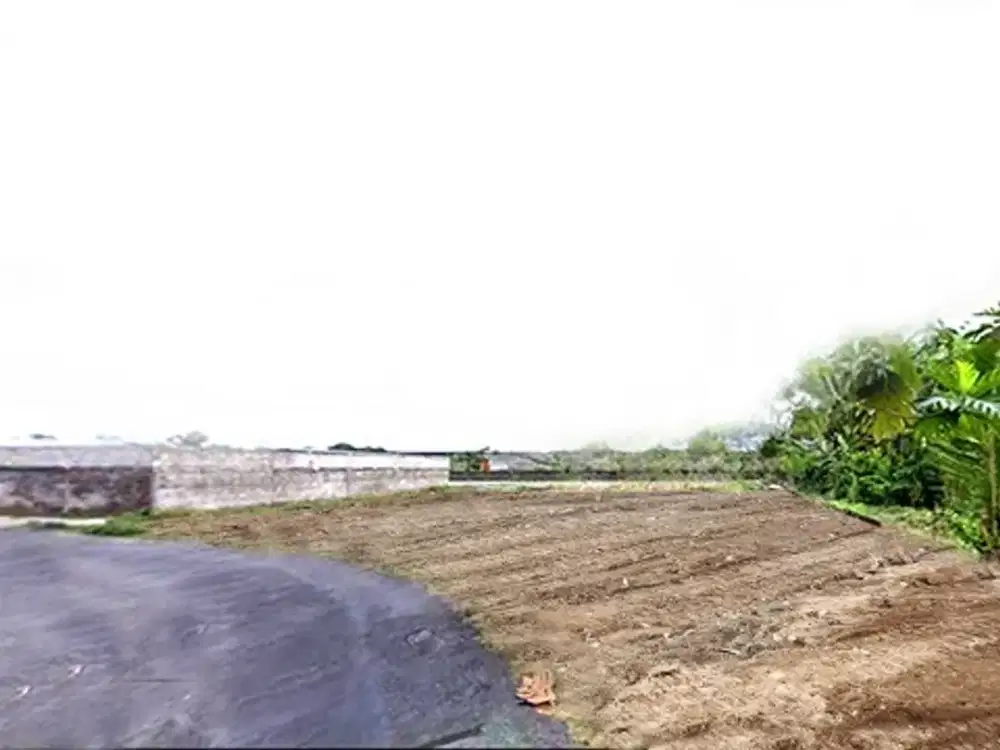 Tanah palagan dijual murah akses papasan, SHM P aman