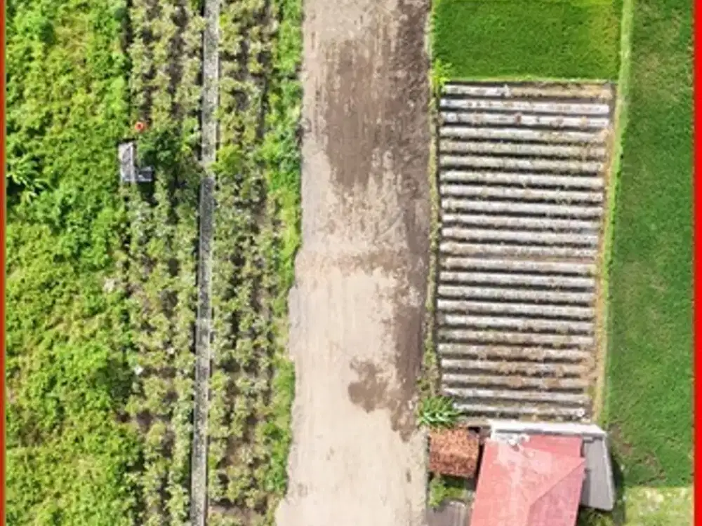 Siap bangun rumah dan Villa dijual cepat jl Damai kaliurang