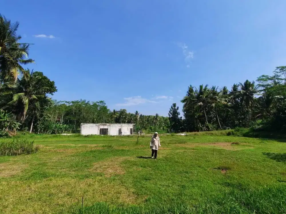 Tanah Nanggulan kulonprogo dijual murah cocok Investasi Rumah