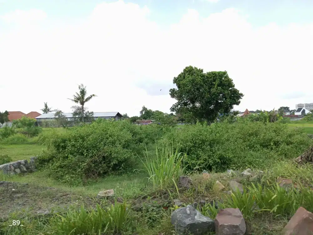 Tanah Damai dijual dekat UGM cocok hunian ,SHM P unit