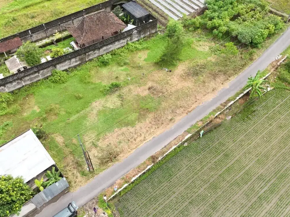 Tanah Jambon Trihanggo dijual cepat, SHM P aman