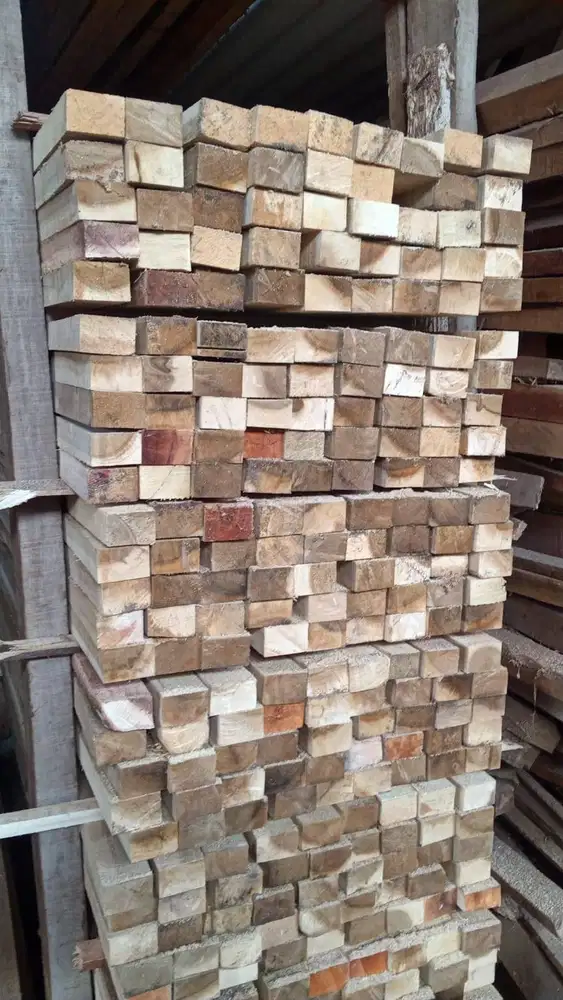 Sedia kaso berbagai ukuran