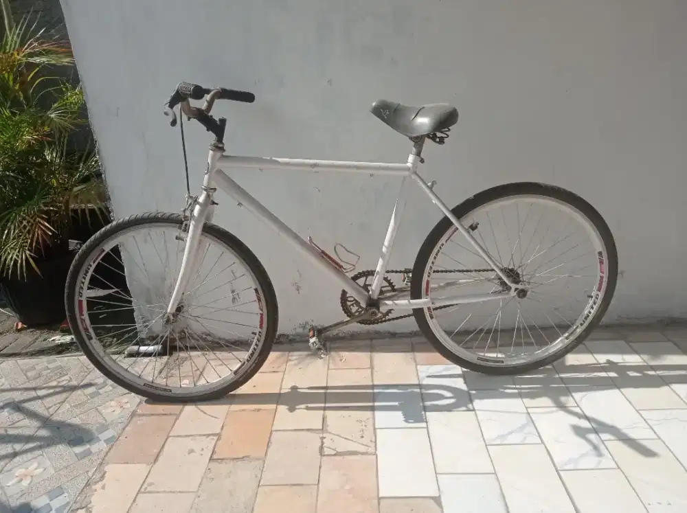 Sepeda federal 26 inc