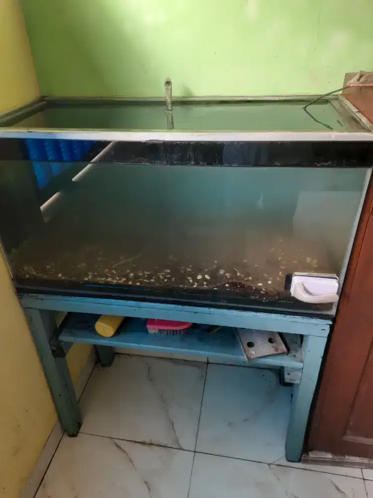 Akuarium kondisi oke