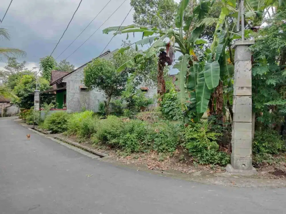 Dijual Tanah Pekarangan Timur SMP N Seyegan Sleman Yogyakarta