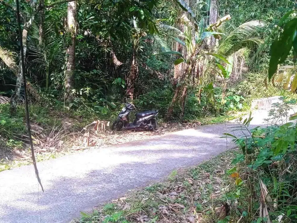 jual tanah Antosari Tabanan dekat pantai soka