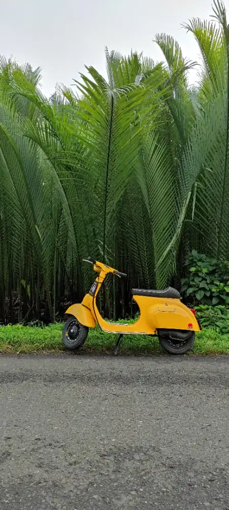 Knalpot vespa malossi smallframe PTS special