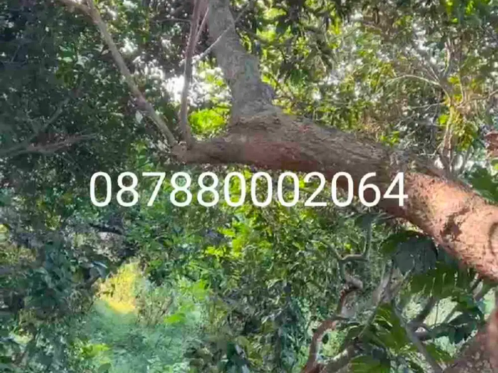 jual cepat murah tanah kavling sarimulya kotabaru karawang bekasi