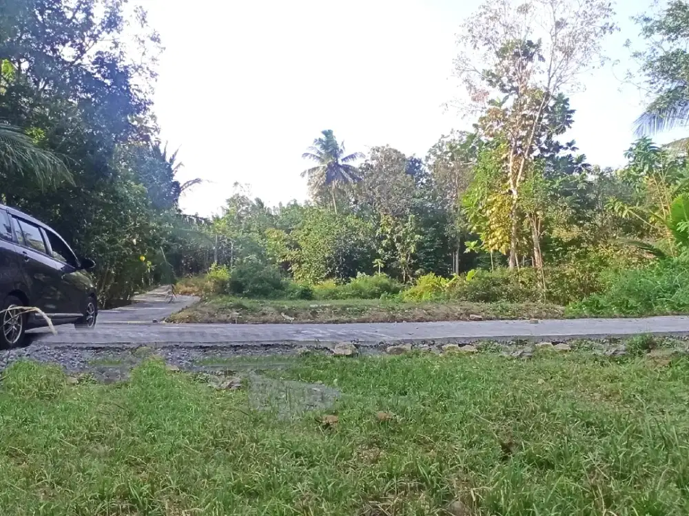Tanah  Jl. Nagung-Brosot Kulon Progo Dekat UNY Wates