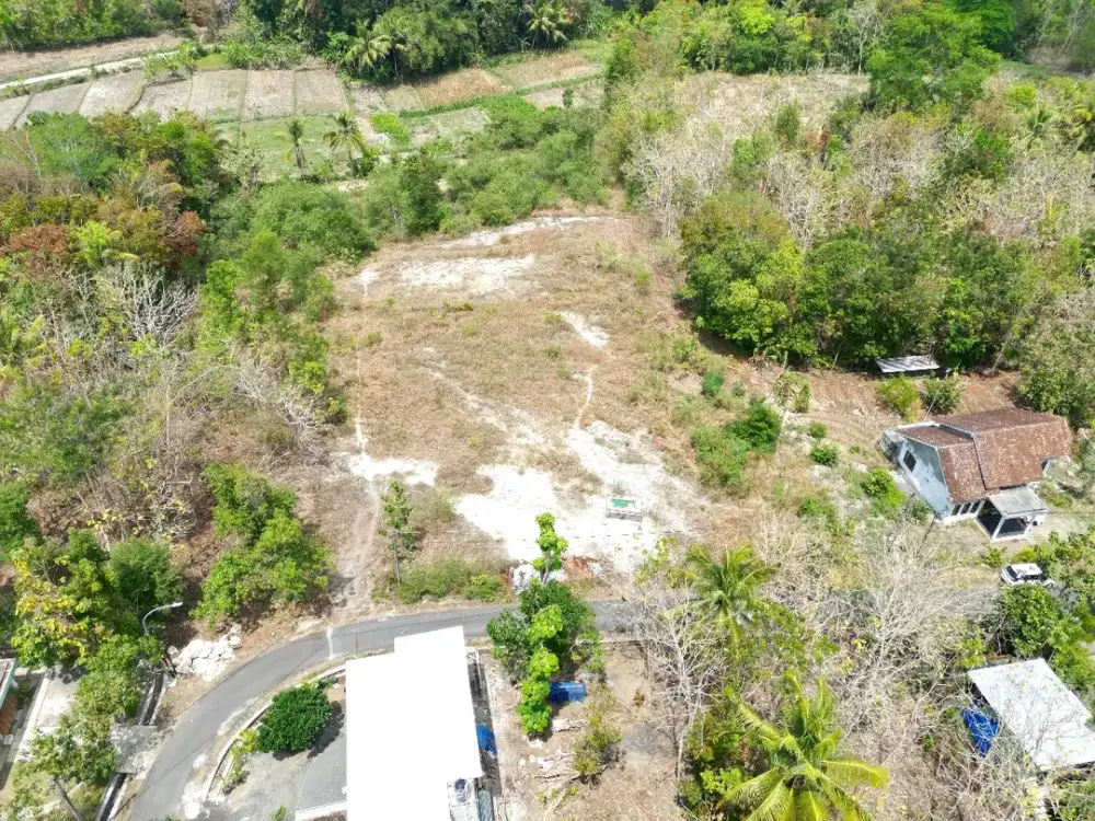 Tanah Murah Selatan Kampus UMY, 1 Juta Nego