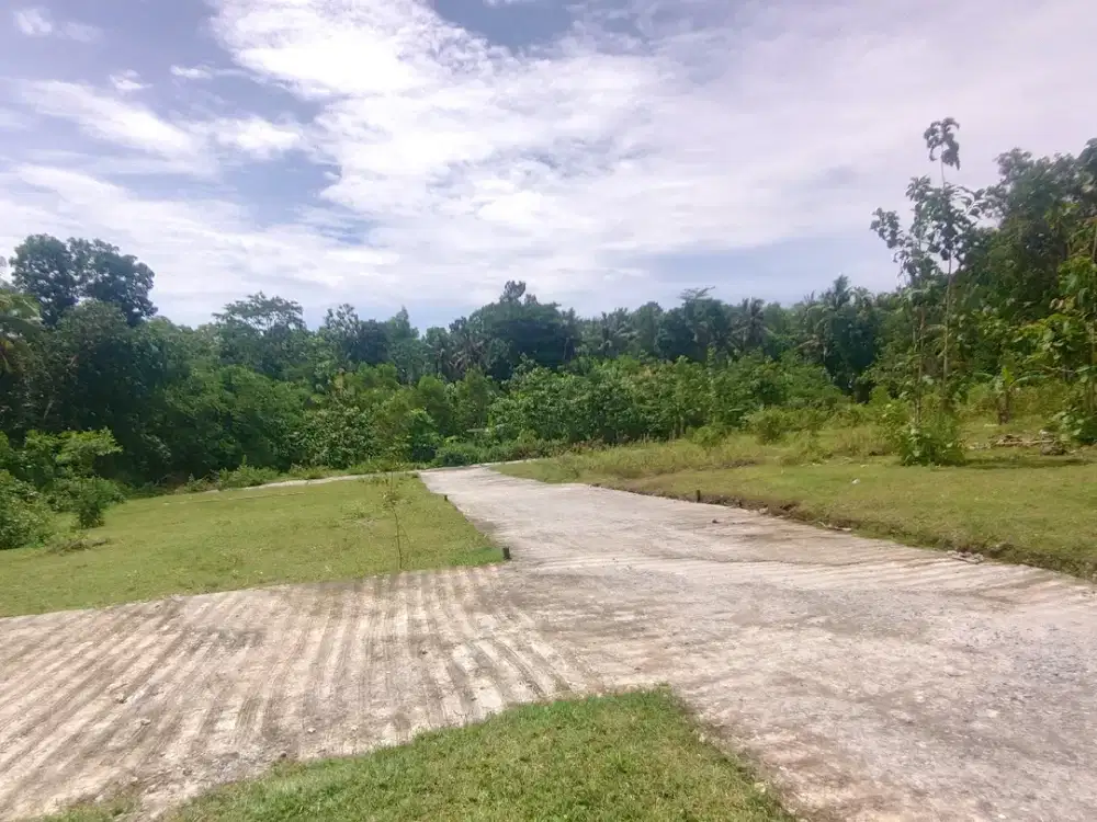 Dijual Tanah Jl. Gotakan Kulon Progo Dekat Polsek Panjatan