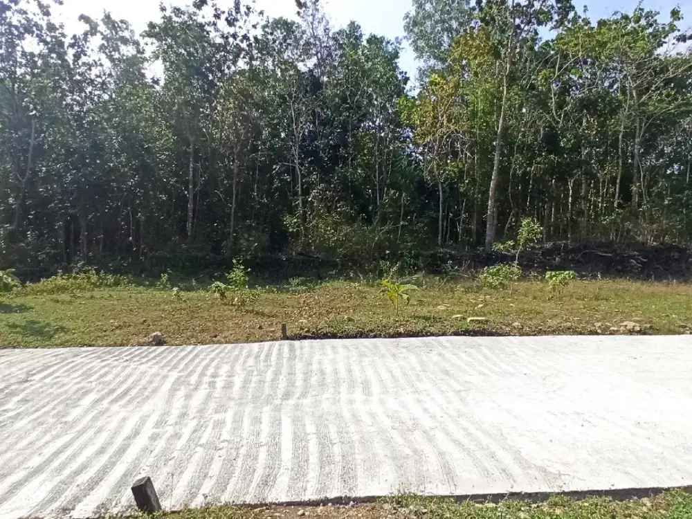 Tanah Murah Dekat Polres Kulon Progo Terbaru 1 Jutaan