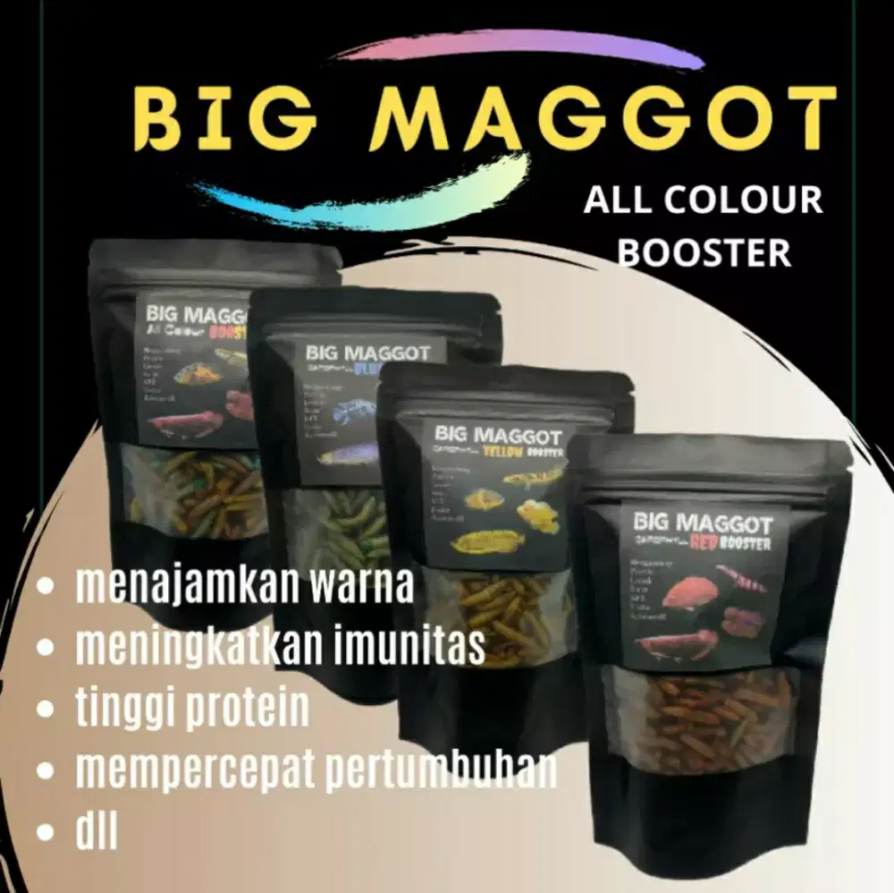 Maggot premium yellow blue red allcolour