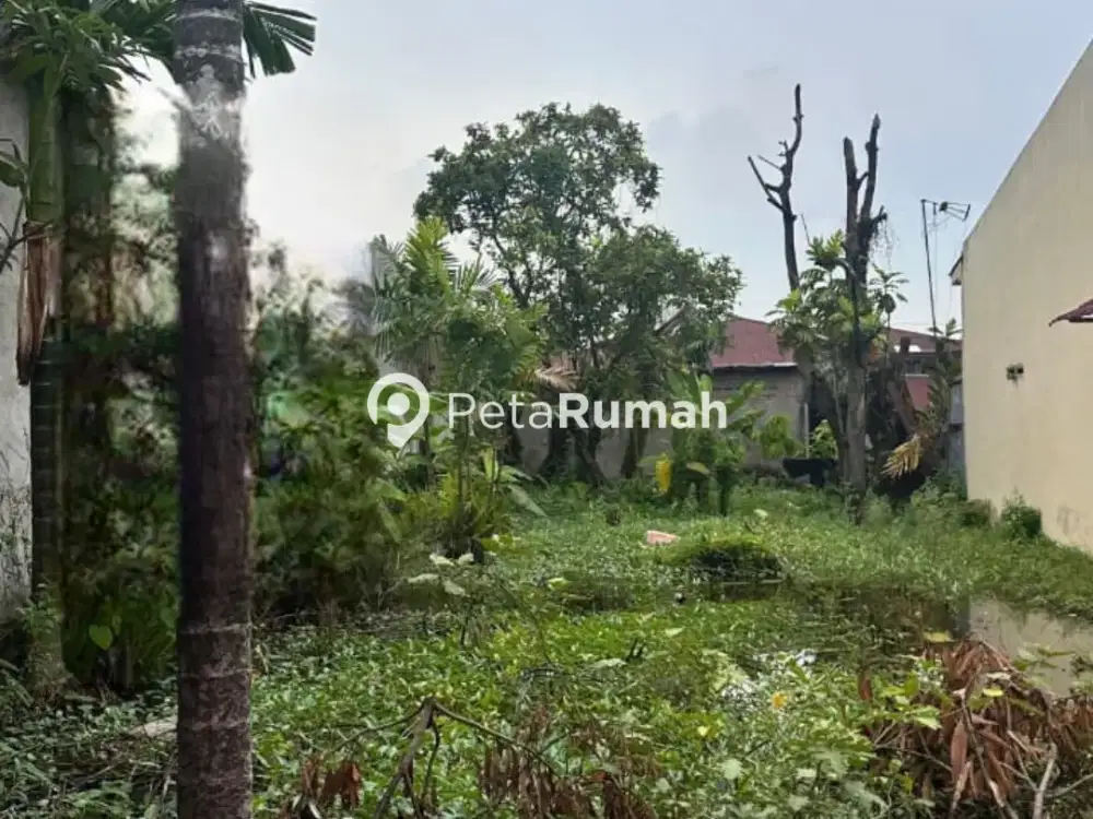 DIJUAL TANAH JALAN KIWI GANG 3