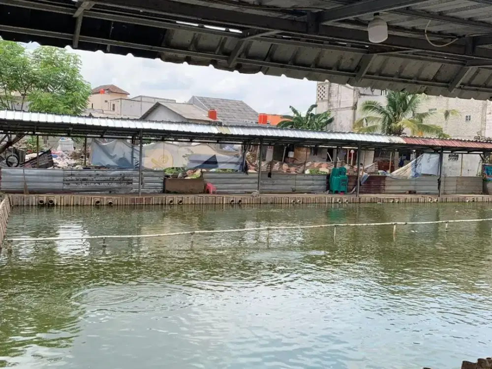 Jual Tanah Diatas Empang Ikan Jurumanggu Timur, Tangerang Selatan