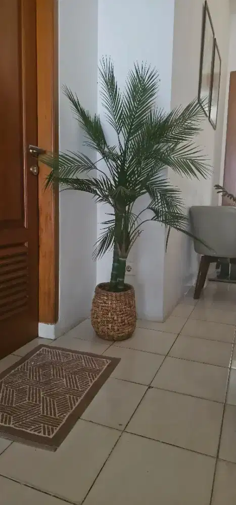 Tanaman artifisial Palem Batang semirip aslinya