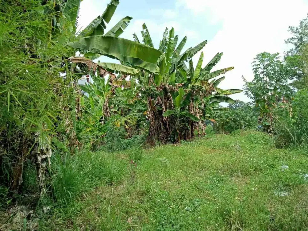 JUAL/SEWA TANAH MATANG SIAP BANGUN LOKASI STRATEGIS DI MAINROAD CIGADUNG BANDUNG