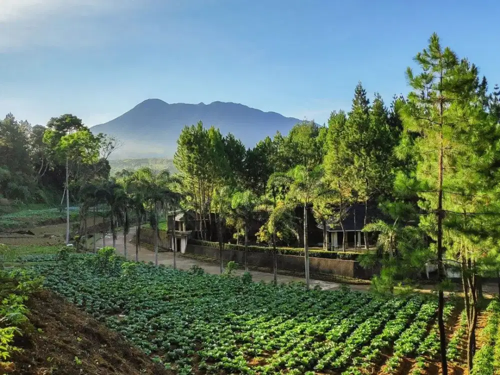 Jual tanah kavling Megamendung Cisarua Puncak