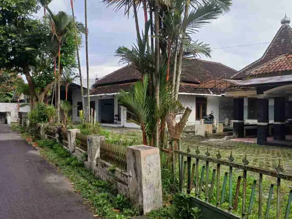 rumah dengan tanah luas sangat nyaman dan strategis nogotirto