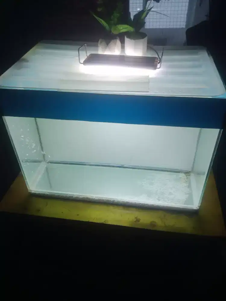 Aquarium 50*40 cm