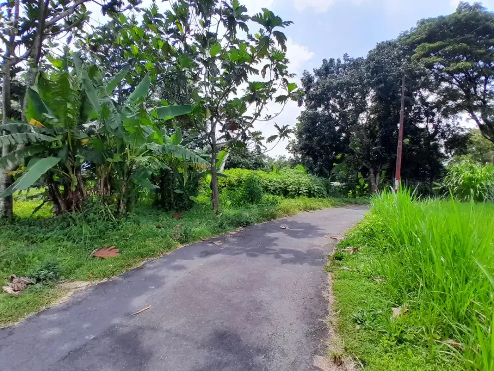 Tanah Palagan Asri View Pedesaan; SHM Pekarangan