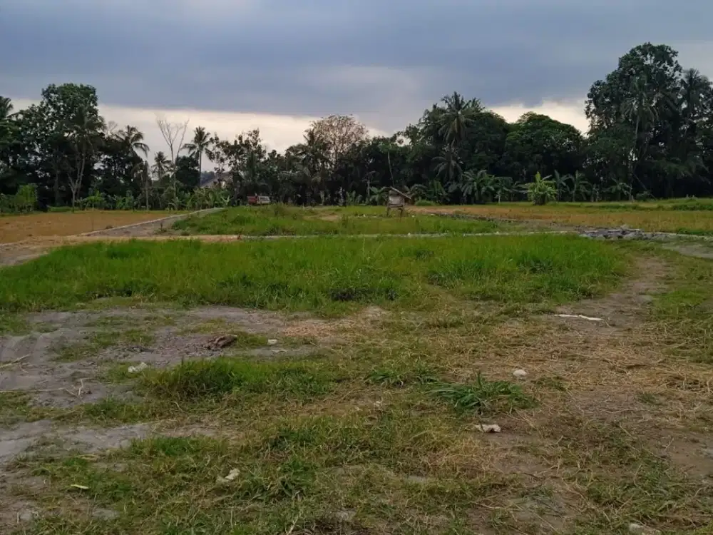 Tanah Kavling Pandanaran Dekat UII; View Persawahan