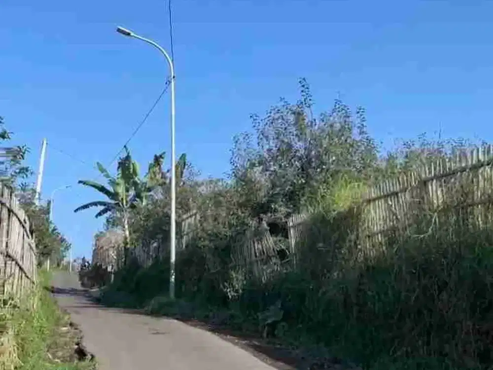 Pekarangan Kebun Apel Tulungrejo Kota Batu