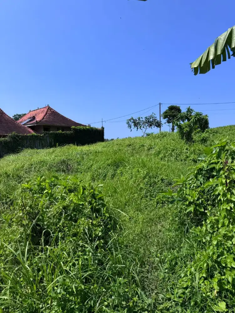 20mnit to Canggu, nyanyi beach