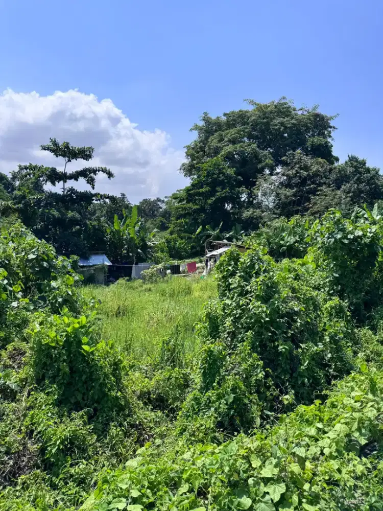 18 mnit to Canggu , Nyanyi Beach close nuany city