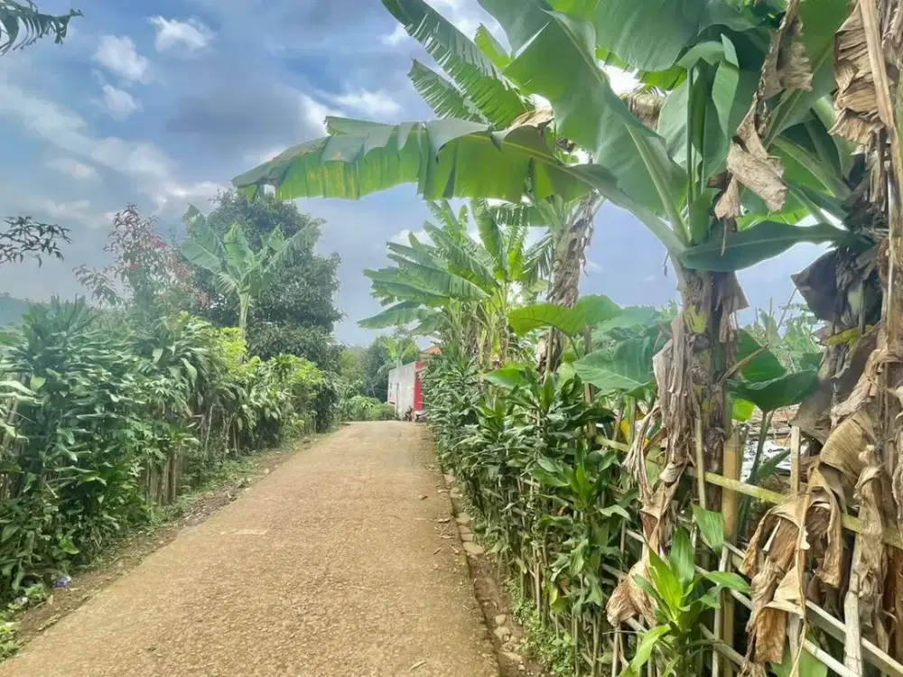 Tanah Kebun Pinggir Jalan Desa di Perkampungan Purwakarta Dijual Murah
