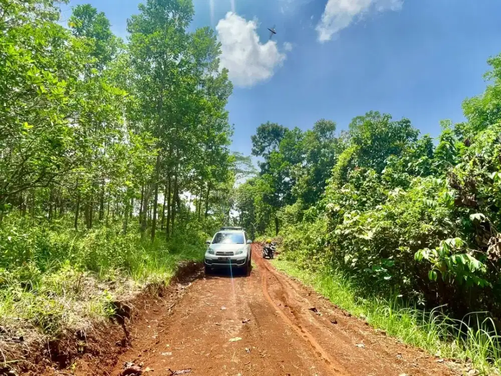 Dijual Murah Tanah Kebun Jati Akses Mobil di Cibatu Purwakarta