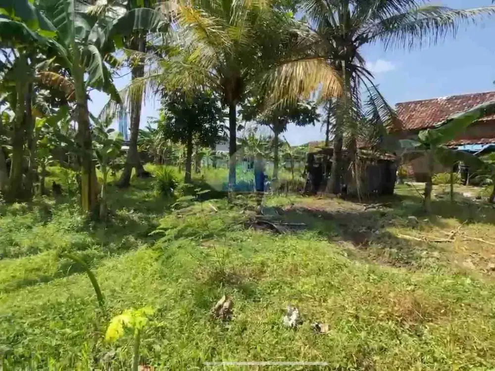 Dijual Tanah MURAH Untuk Investasi Di Cikande, Serang