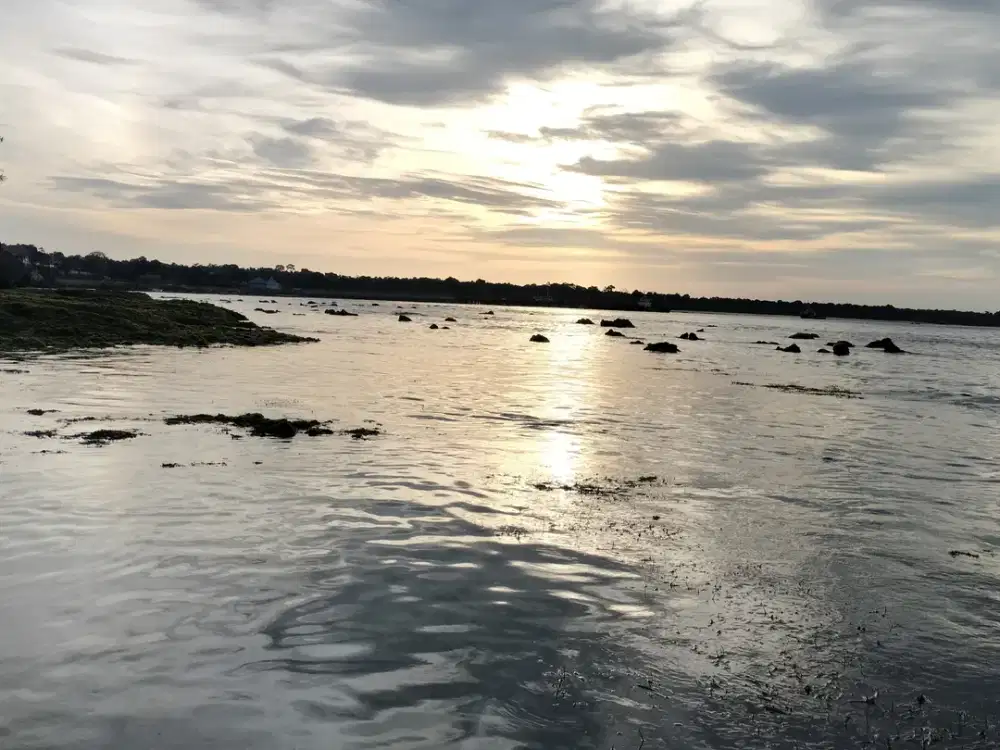 Dijual murah Tanah Loss Pantai Waikelo Sumba Barat Daya NTT