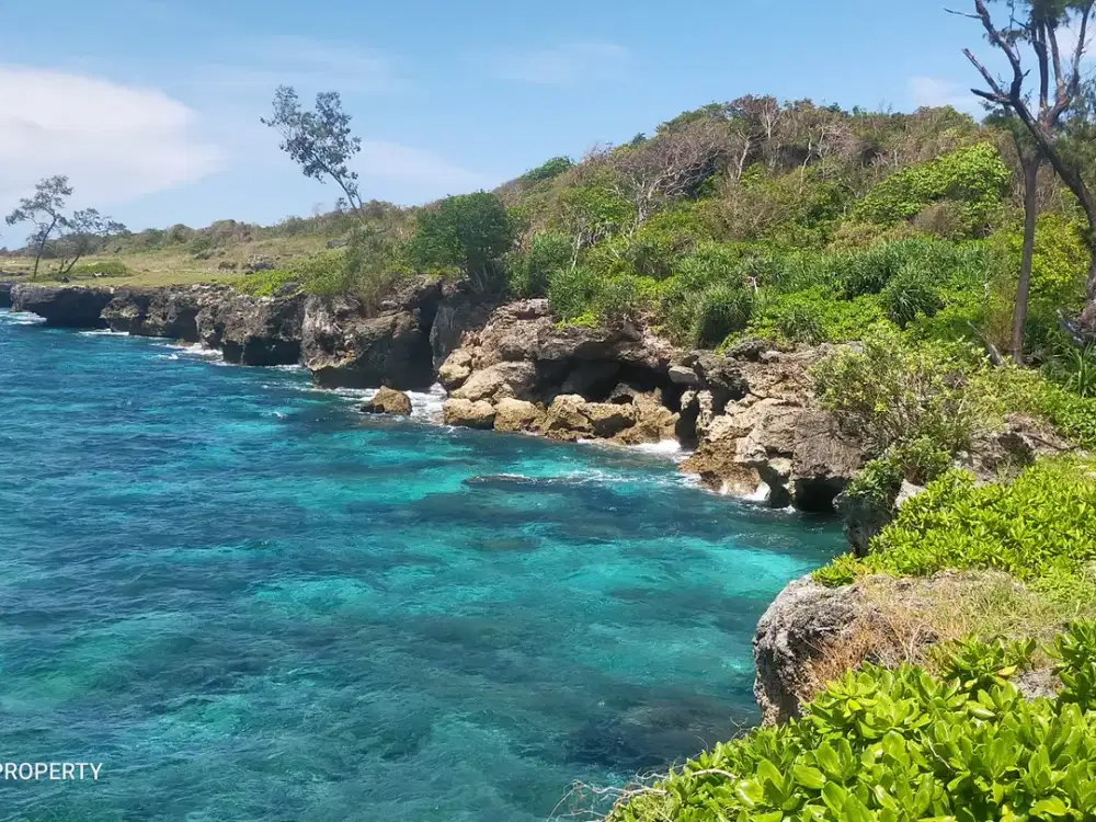 Dijual Murah Tanah Tebing Pantai Wee Kambala