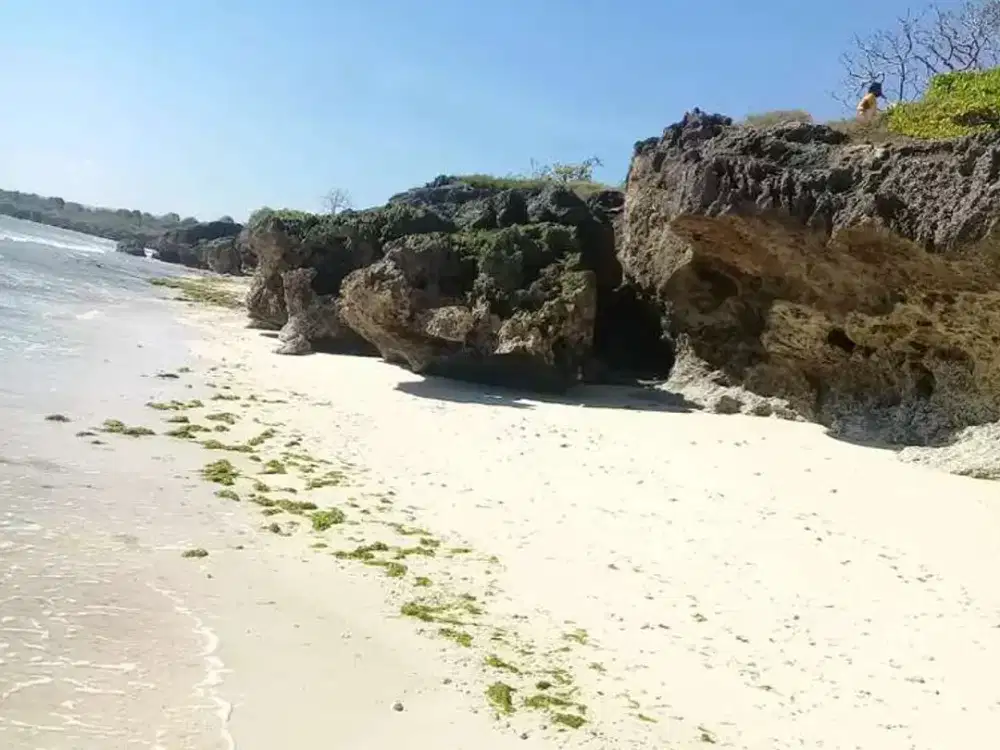 Dijual Tanah Loss Pantai Mangita.Tambolaka.Sumba Barat Daya