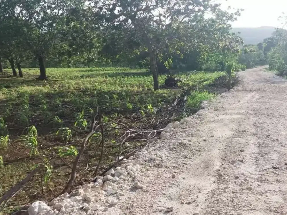 Dijual Tanah peruntukan Toko,Ruko,Gudang,