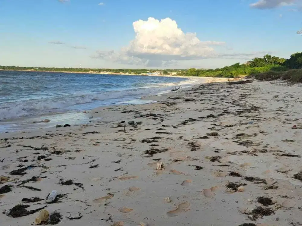 Dijual Murah Tanah Sepadan Pantai Kawona Sumba Barat Daya