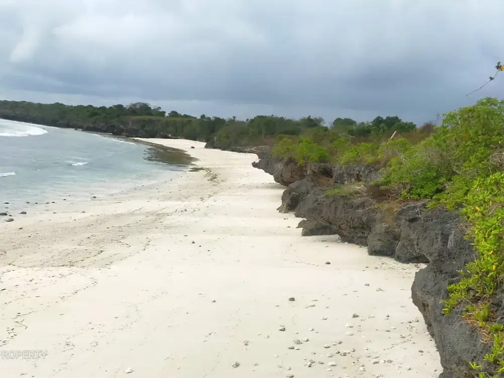 Dijual Murah Tanah Loss Pantai kawona loura Sumba Barat daya