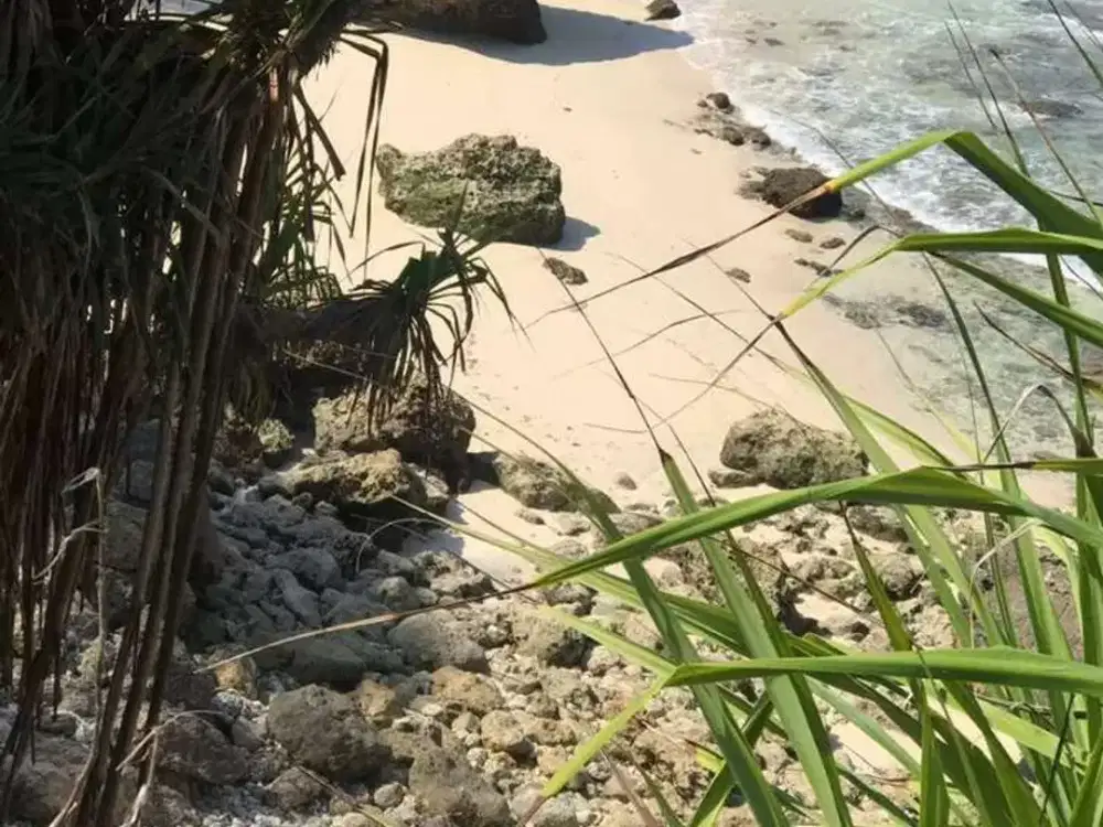 Dijual tanah loss pantai selatan sumba barat.