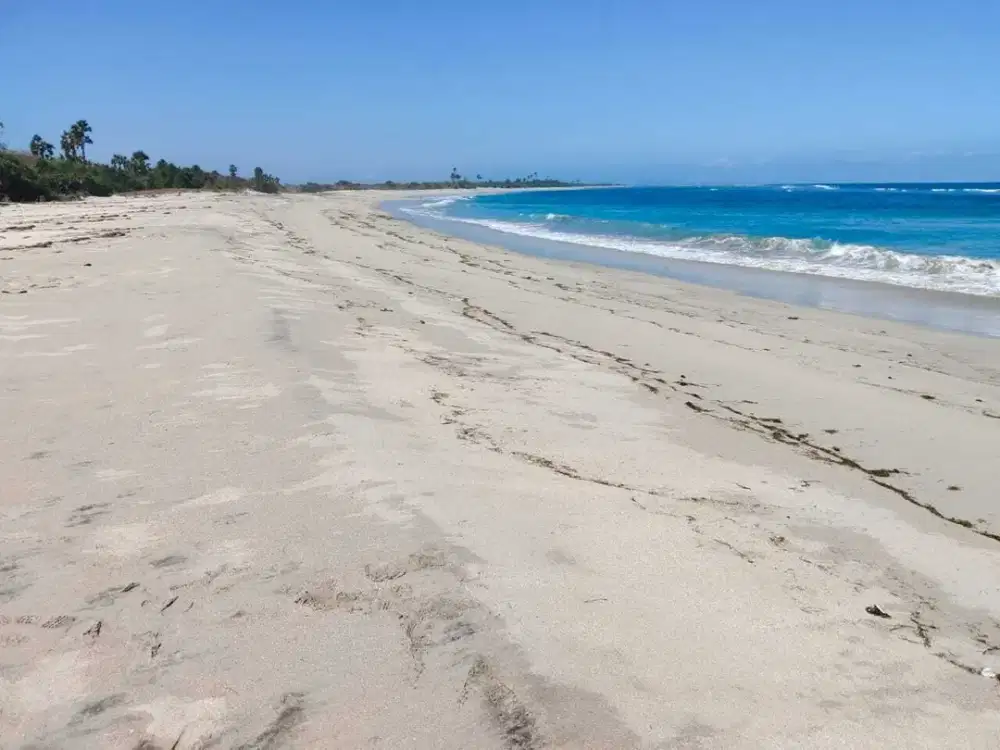 Dijual murah tanah Loss pantai Wula Waijelu Sumba Timur