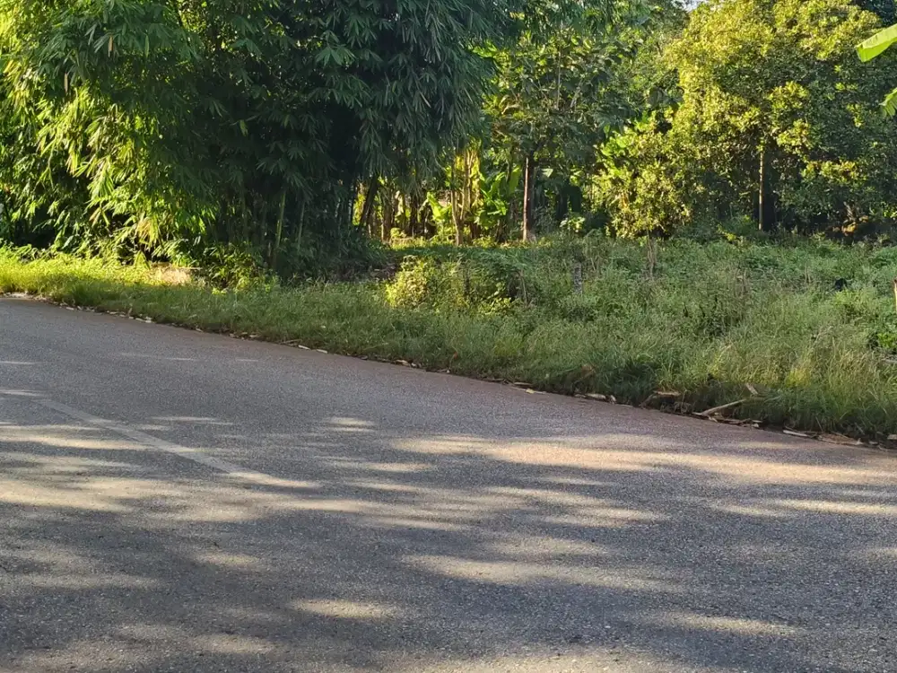 Dijual murah tanah area Kota Tambolaka Sumba Barat Daya