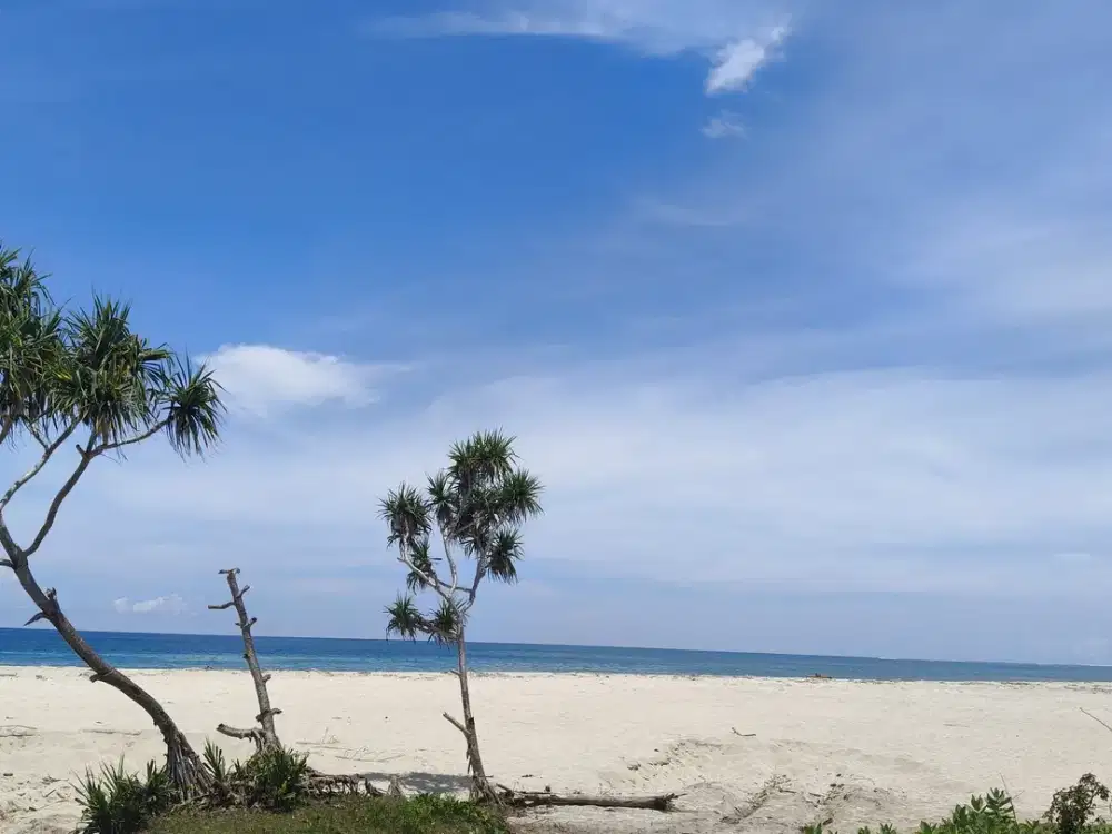 Dijual murah tanah Loss Pantai Wula Waijelu Sumba Timur