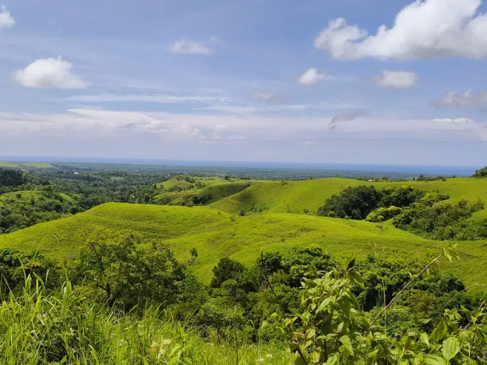Dijual murah tanah pemandangan pantai Sumba Barat Daya