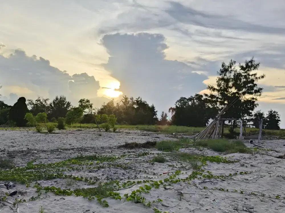 Dijual murah tanah Loss Pantai Laipori Sumba Timur