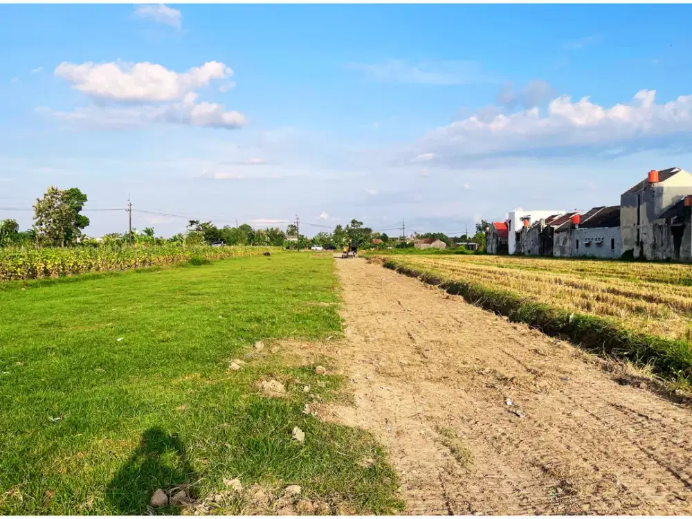 Jual Tanah Dekat Pasar Gamping, Punya Rumah Tepi Sawah Nyaman Huni