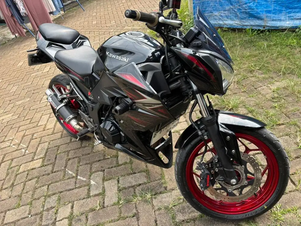 Kawasaki Z250 Special Edition 2016